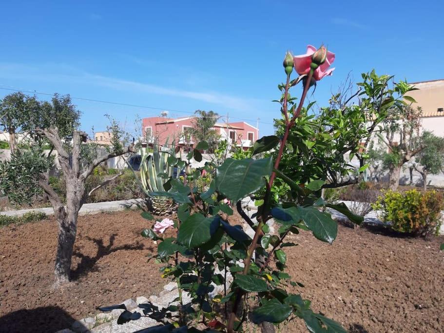 Cammini Di Sale - Inside The Salt Pans Wwf Oasis - 5km Far From Trapani Holiday home *