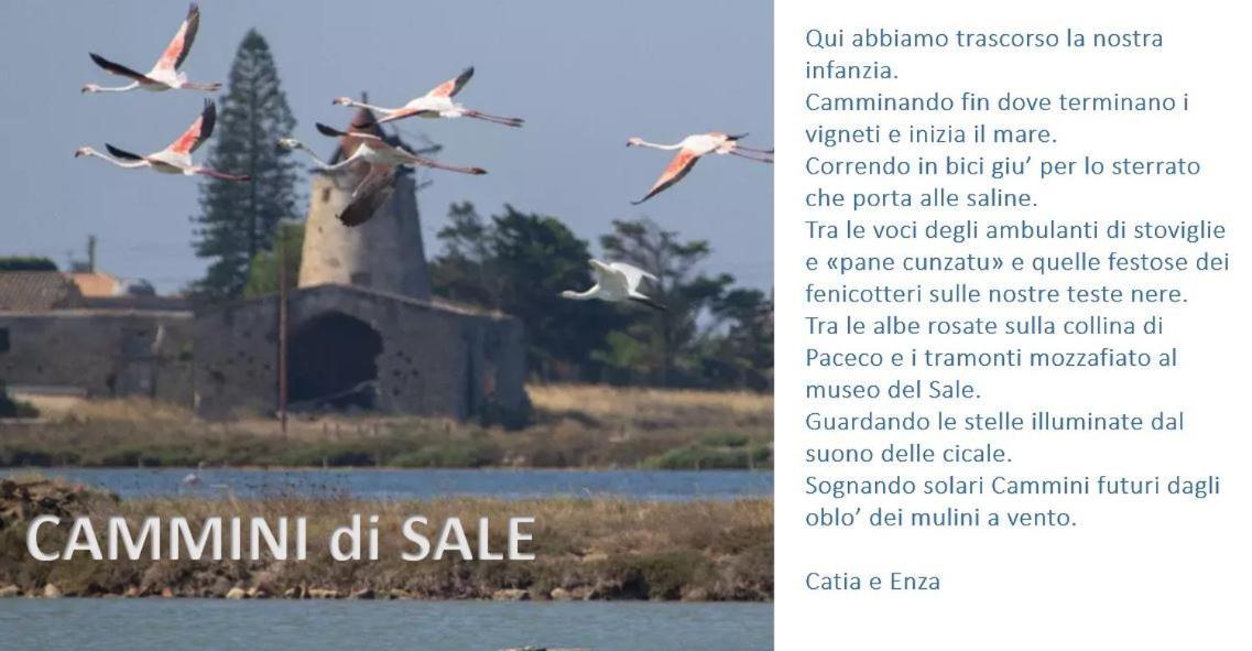 Cammini Di Sale - Inside The Salt Pans Wwf Oasis - 5km Far From Trapani * Torre Nubia