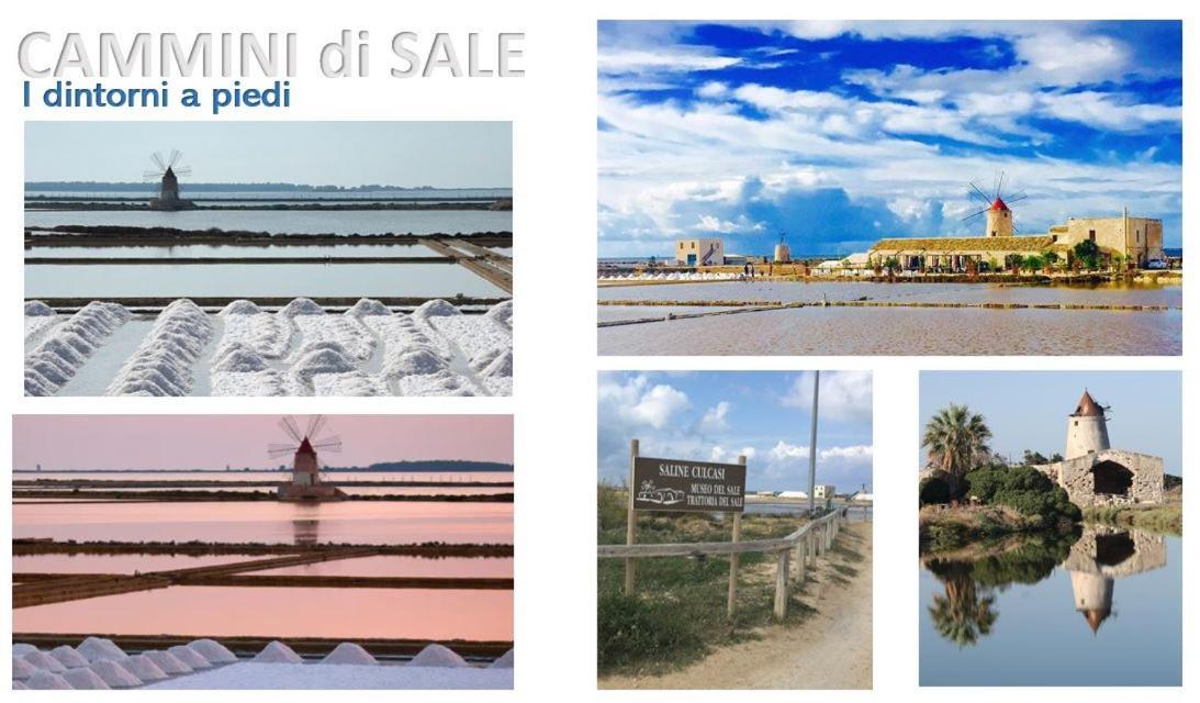 Cammini Di Sale - Inside The Salt Pans Wwf Oasis - 5km Far From Trapani